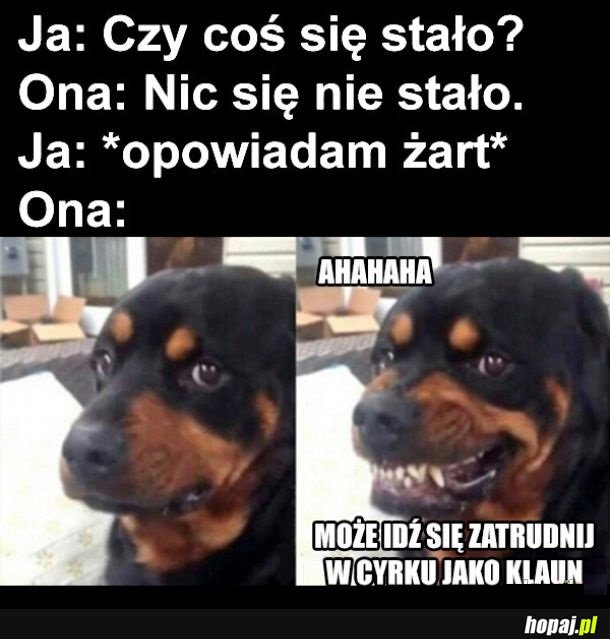 Żarciki z dziewczyną