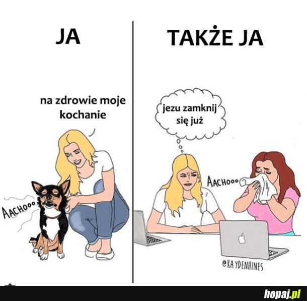 Ja vs ja