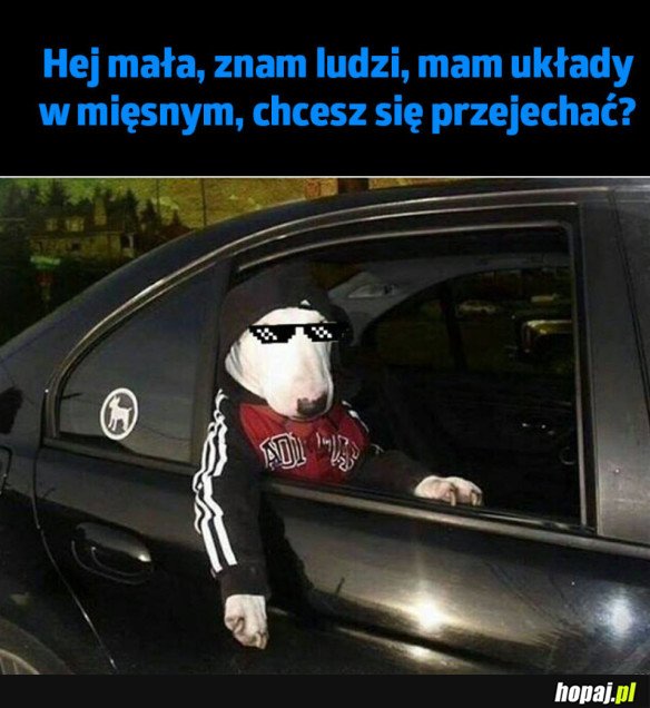 PRZYWÓDCA MAFII