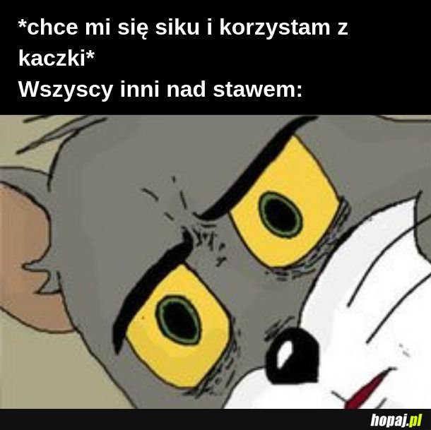 Kaczka 