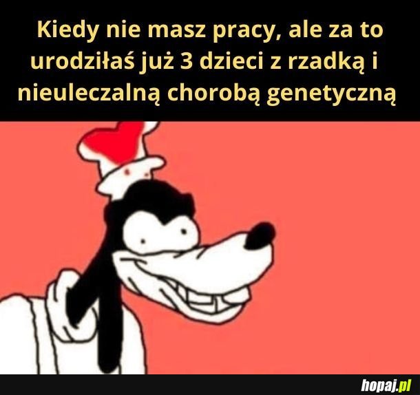 No i jeszcze jedno