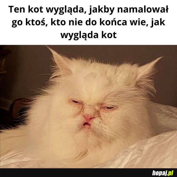 Kitku