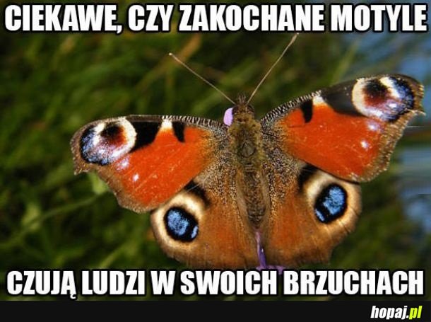 Ciekawe