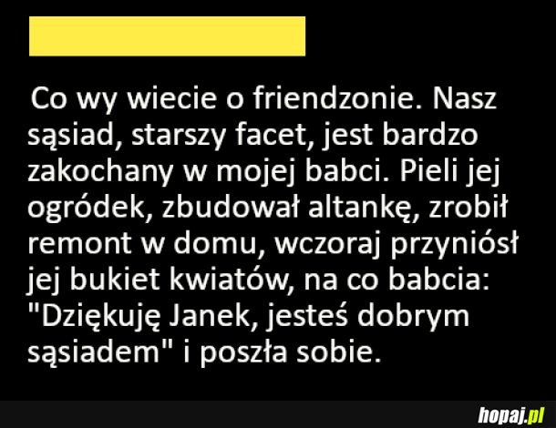 Friendzone