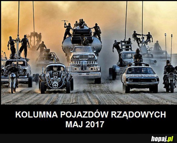 PRZEWÓZ VIPÓW