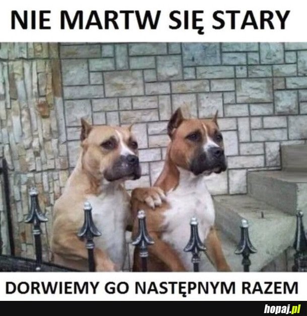 Dorwiemy go stary