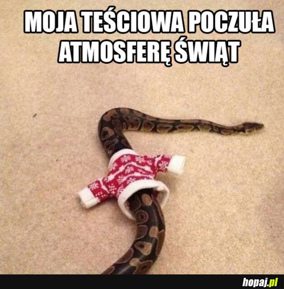 ŚWIĄTECZNA TEŚCIOWA