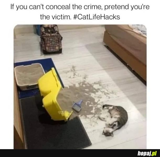 Just pretend