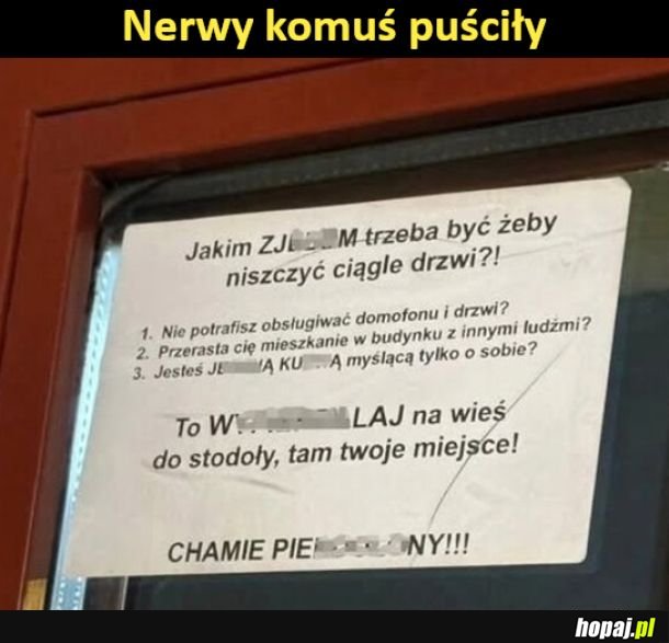 Puściły nerwy