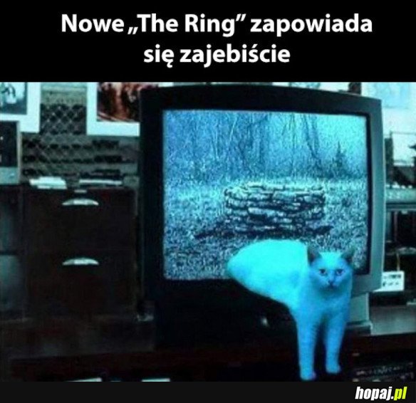 NOWE THE RING