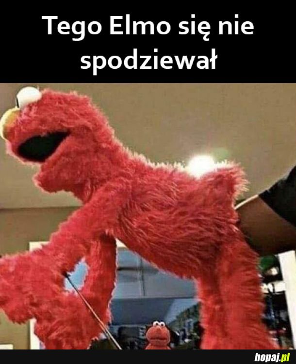 Elmo