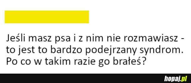 Rozmowy z psem