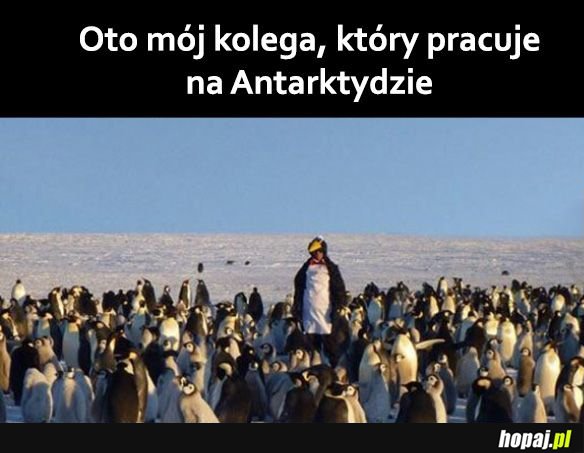 Fajna robota