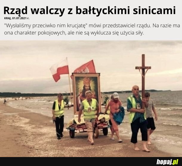 W końcu jakieś realne działania