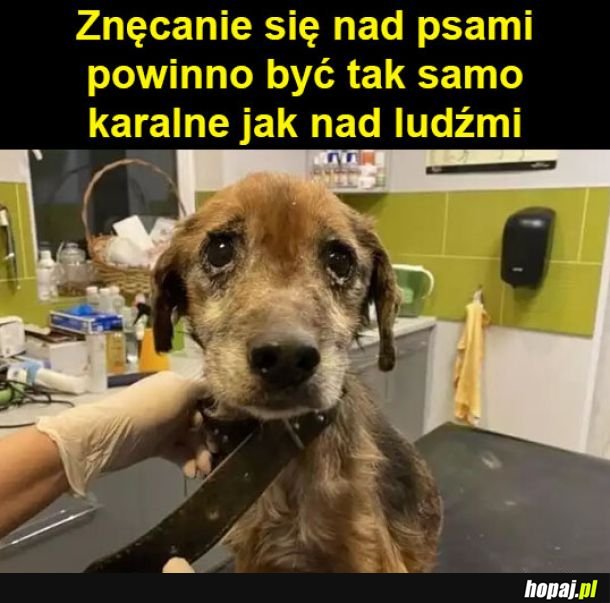Kto za?