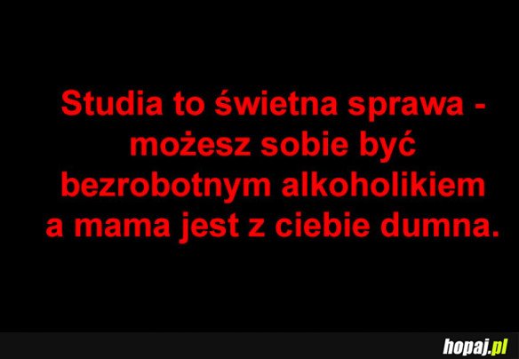 Studia takie są