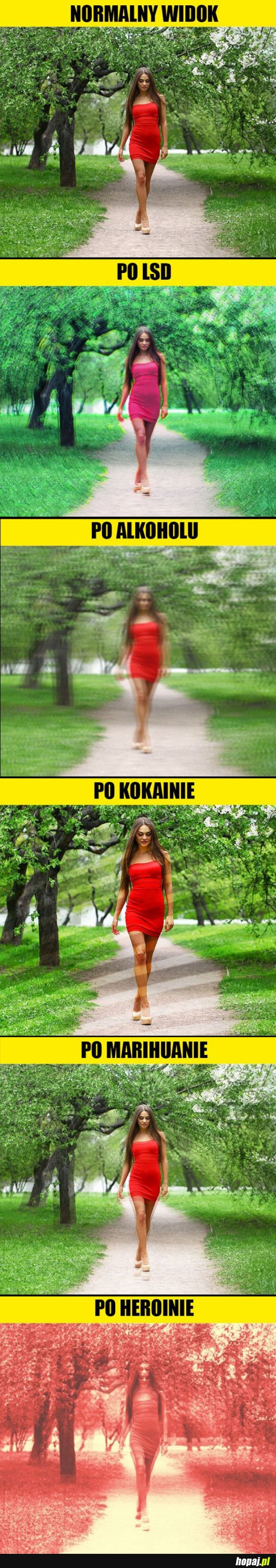 JAK WYGLĄDA ŚWIAT PO RÓŻNYCH UŻYWKACH