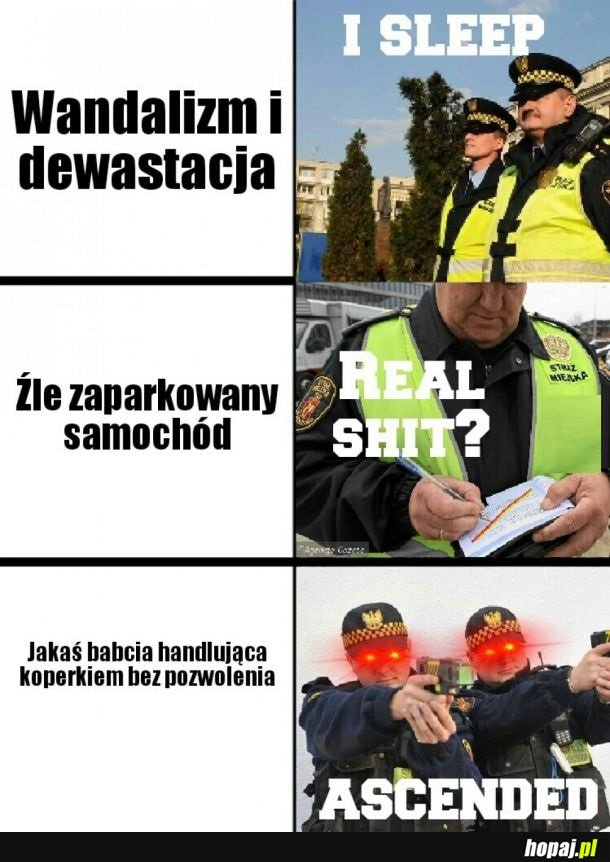 STRAŻ MIEJSKA