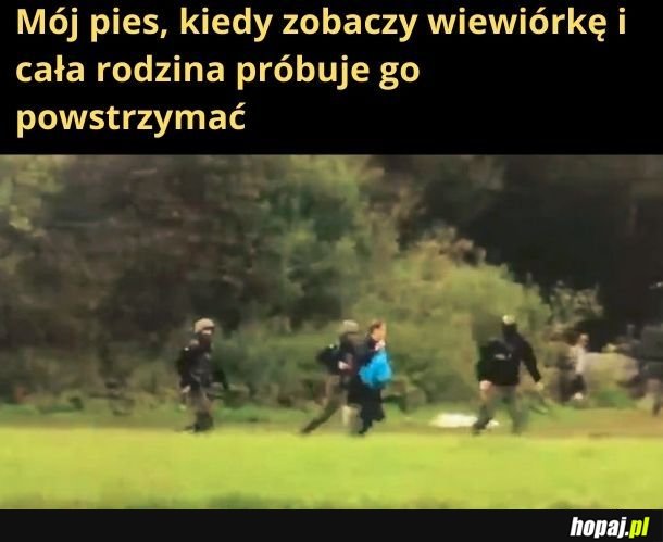 Polish naruto run