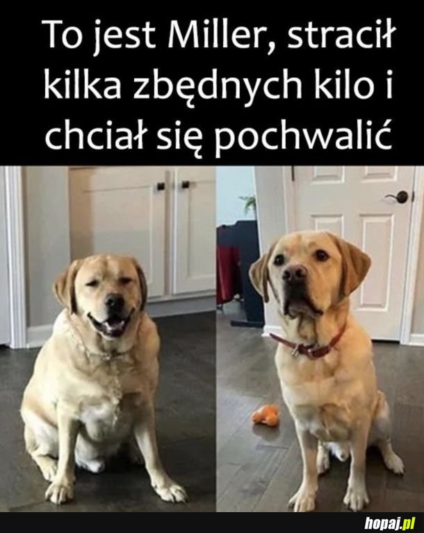 Stracił i posmutniał