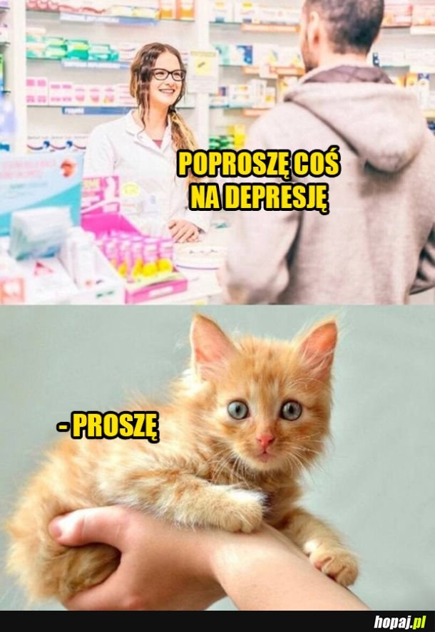 Coś na poprawę humoru