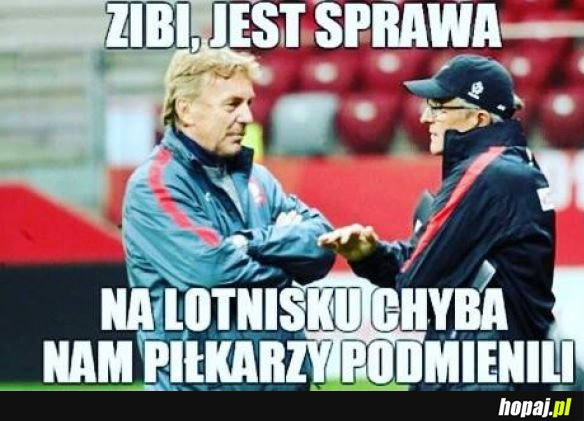 Zibi jest lipa