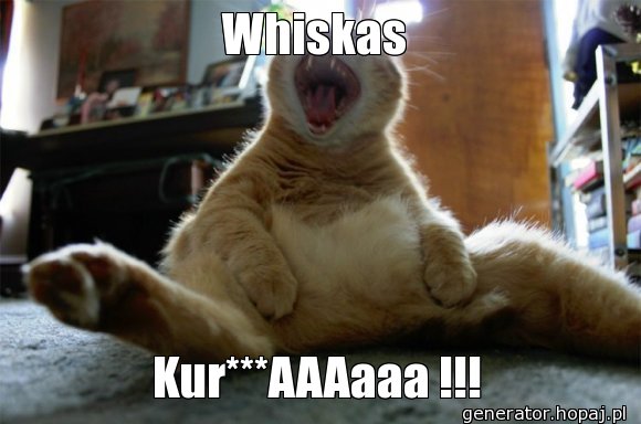 Whiskas