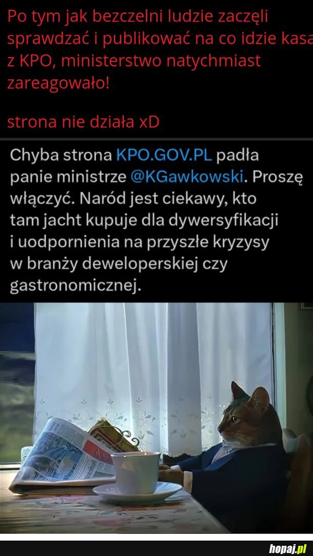 KPiny