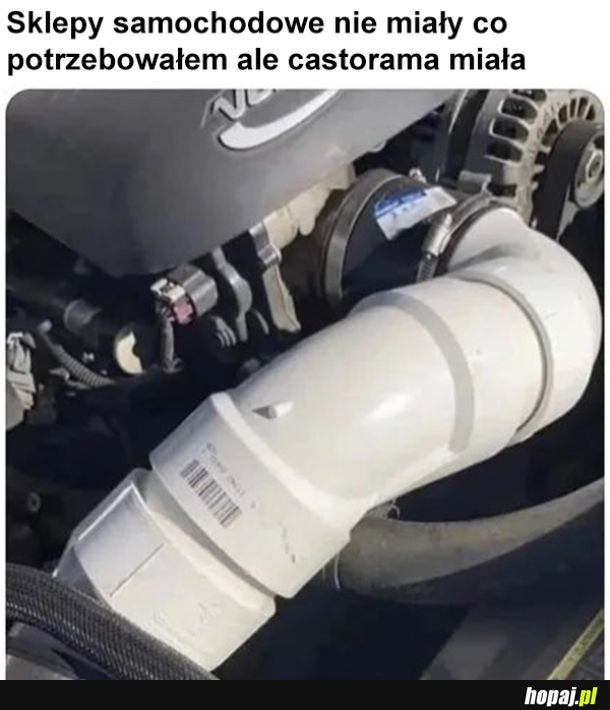 Elegancko