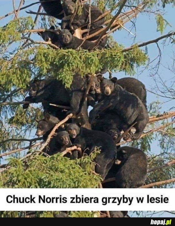 Ach ten Chuck :-)
