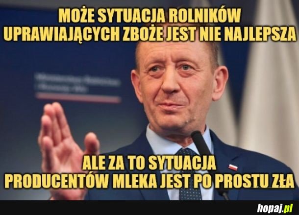 Producentem mleka jest krowa.