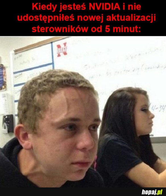 KIEDY JESTEŚ NVIDIA