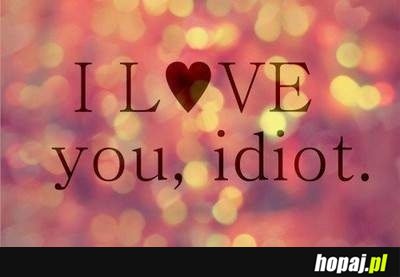 I love you, idiot!