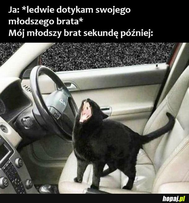  Młodszy brat 