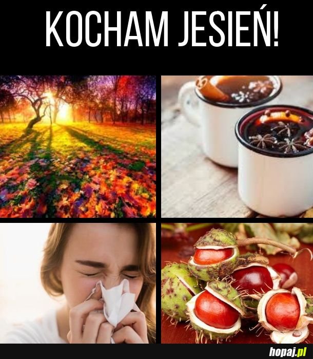 Kocham jesień!