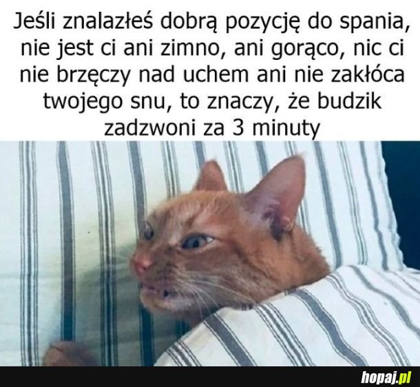 Zgadza się xd