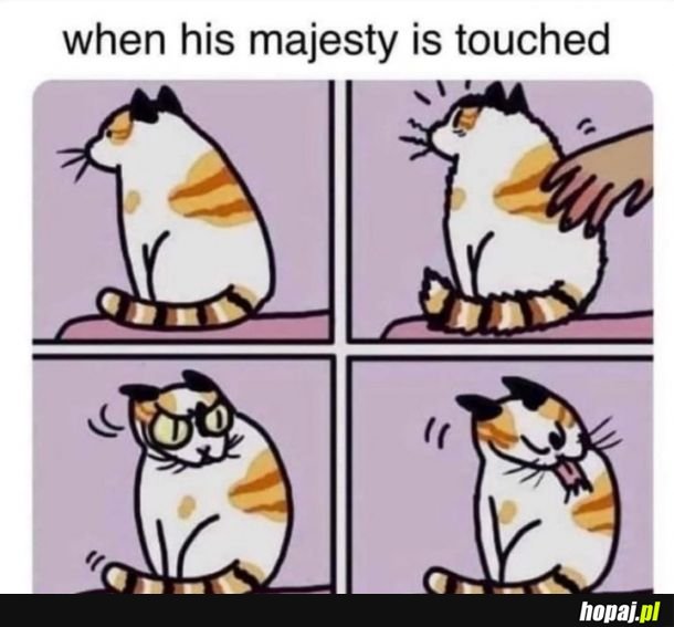 No touchy touchy