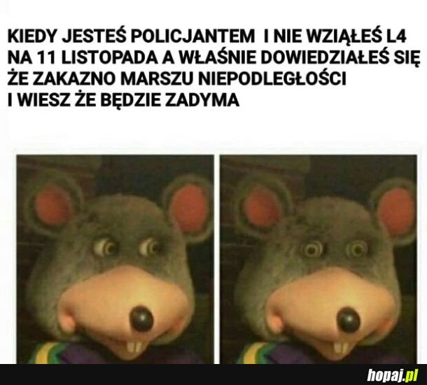 Kurde przypał