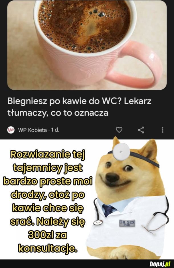 Trzy stówki za konsultacje