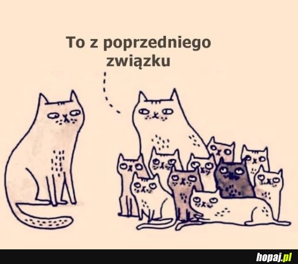 Oj... xd