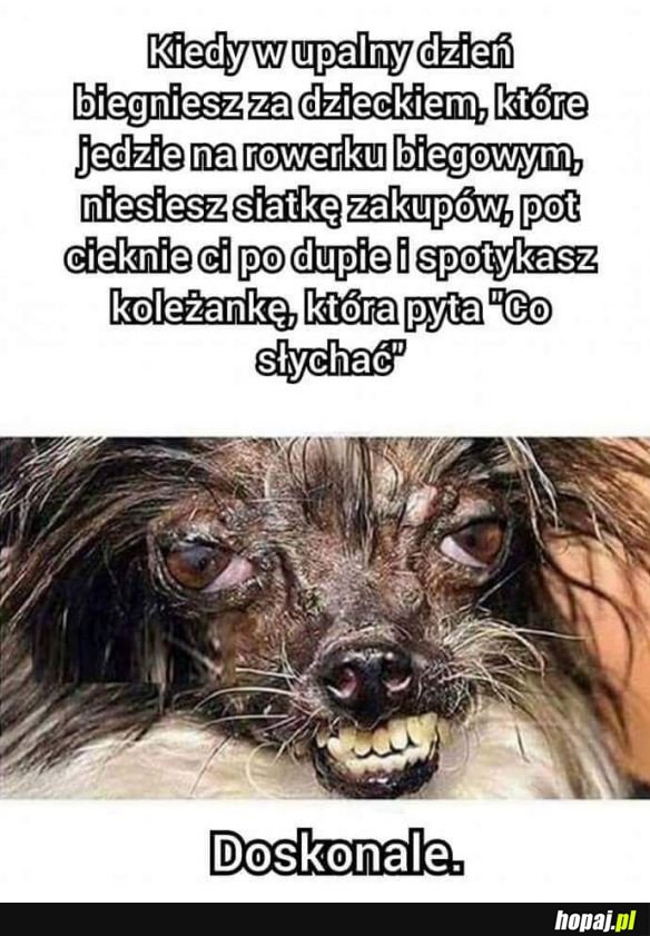 Wszystko gra