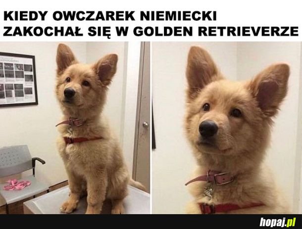 Owoc miłości