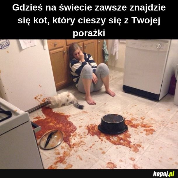 Szczęśliwy koteł 