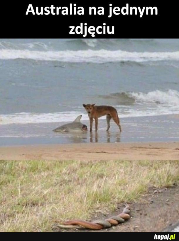 Cudowne miejsce, nie do życia