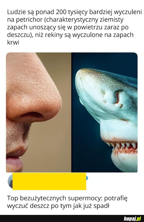 Bardzo przydatne