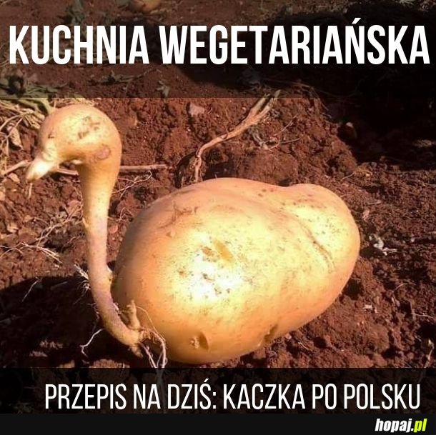 Kto powiedział, że wegetarianie nie mogą dobrze zjeść?