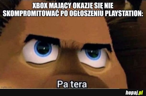 A mogli wszystko...
