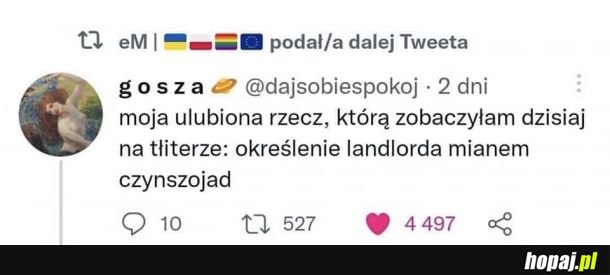 Czynszojad