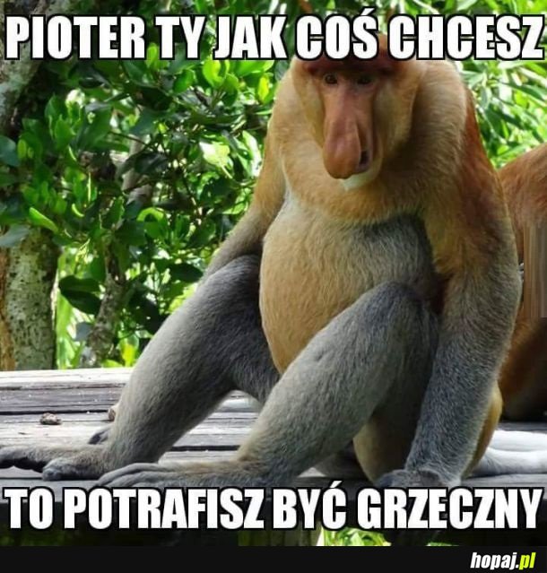 Ty jak coś chcesz