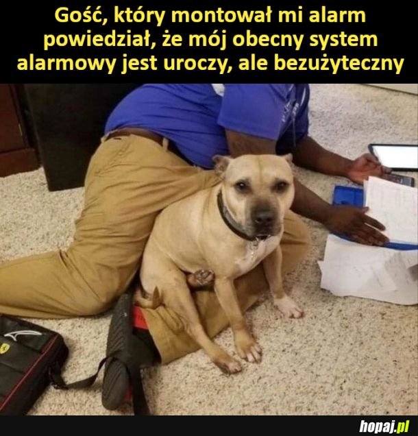 System alarmowy